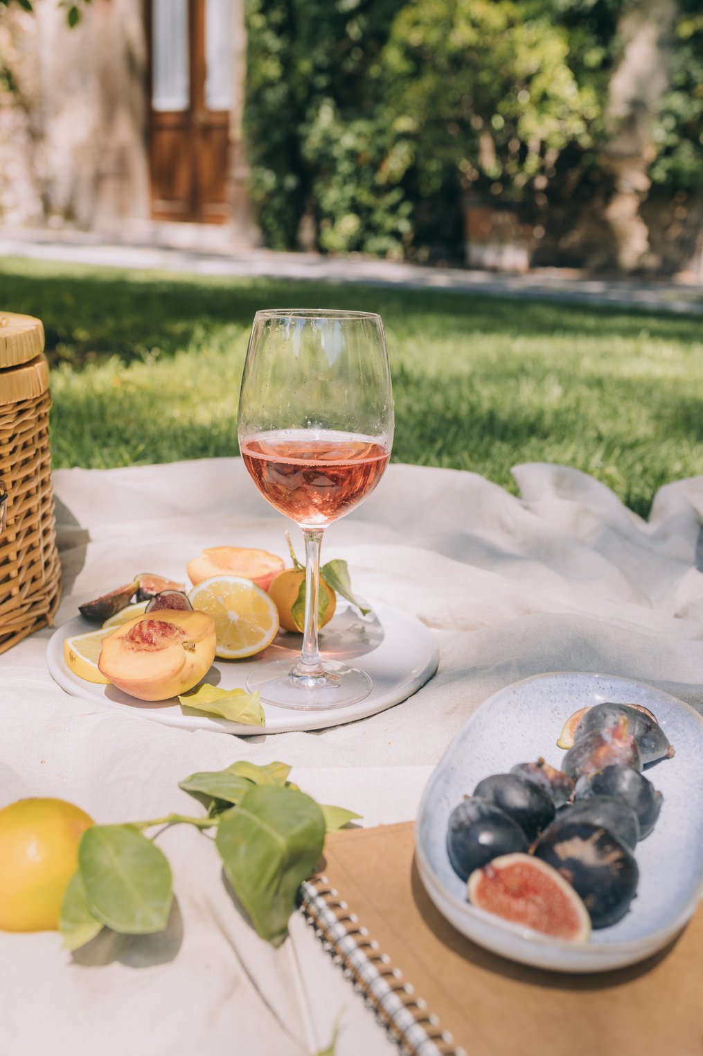 Glass of Wine and Fruits on a Picnic